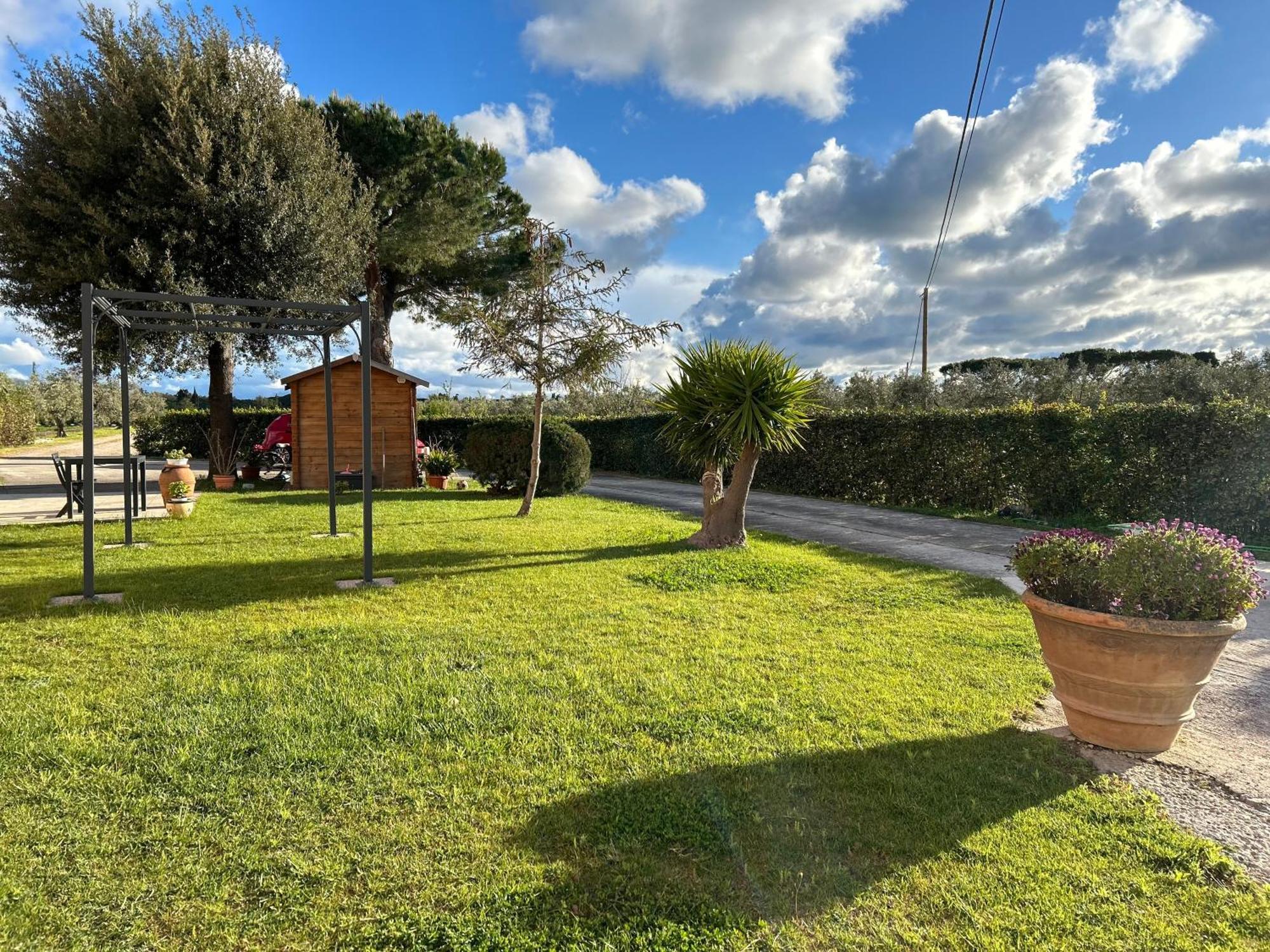 Agriturismo Da Michele E Carmela Di Voli Patrizia Donoratico Esterno foto