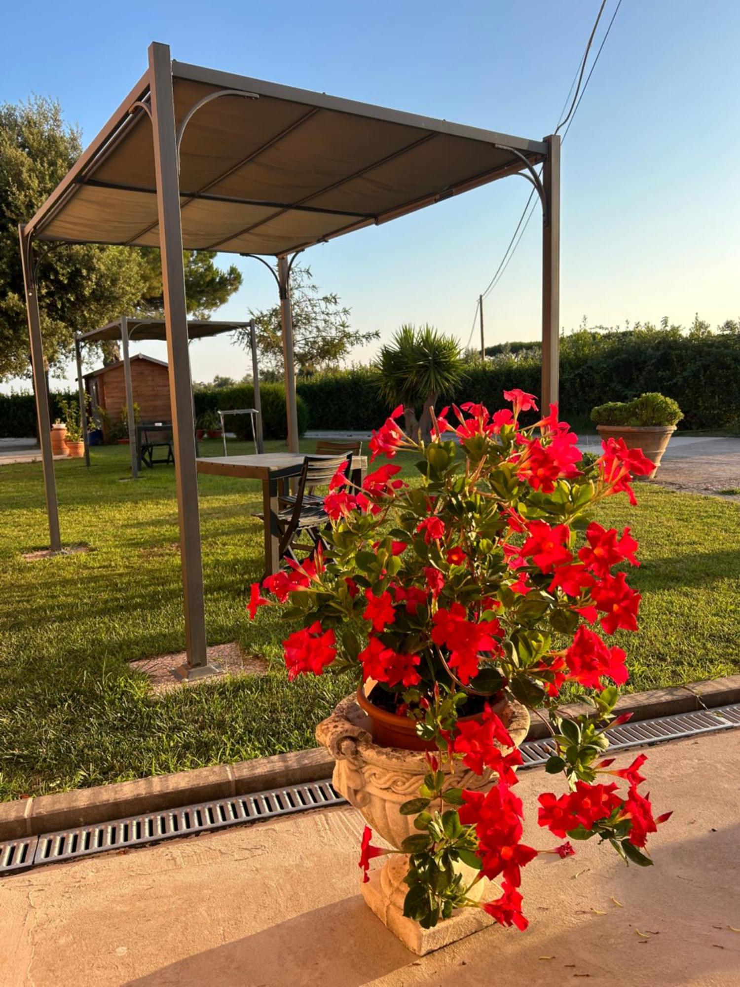 Agriturismo Da Michele E Carmela Di Voli Patrizia Donoratico Esterno foto